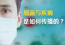 细菌与疾病是如何传播的