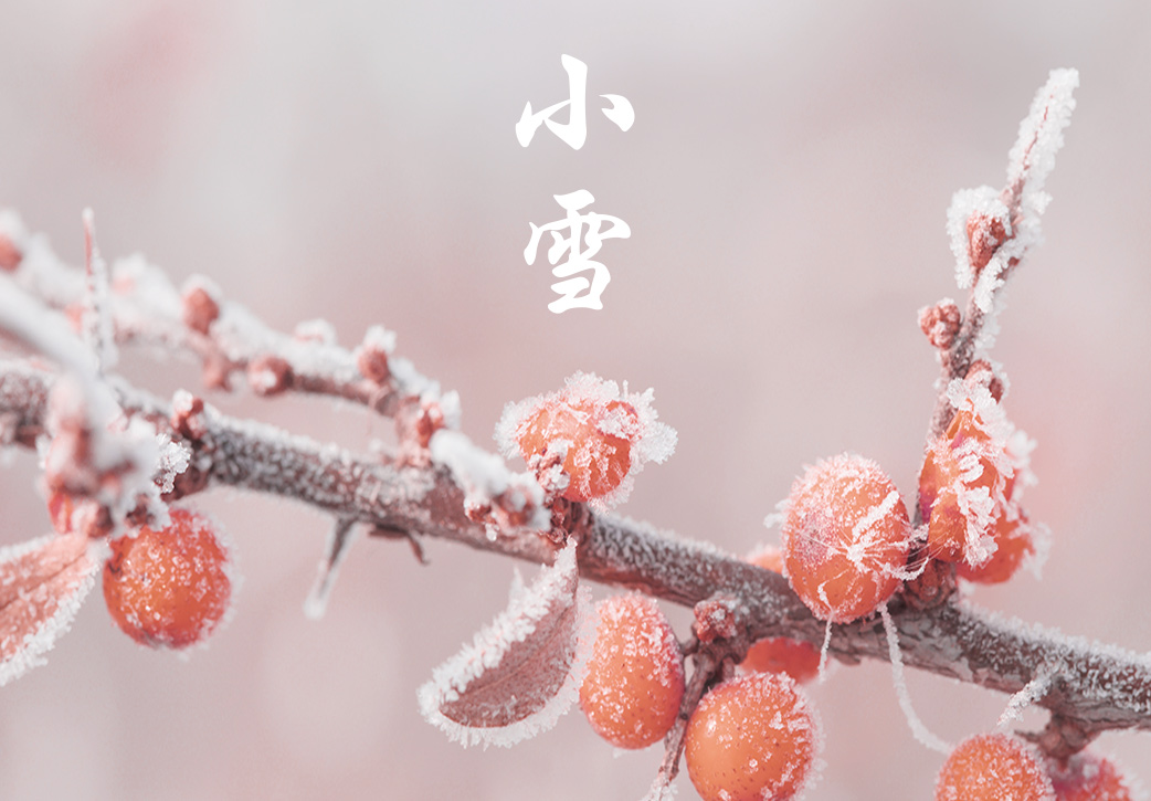 二十四节气之小雪