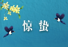 今日惊蛰 | 万物复苏 生机盎然