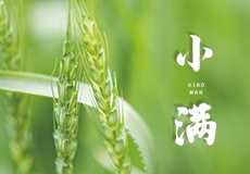 今日小满｜物致于此小得盈满