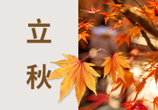 今日立秋