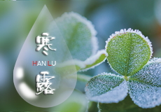 今日寒露