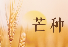 今日芒种