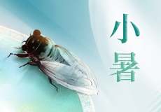 小暑｜温风徐来，暑意渐浓