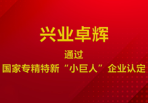 喜讯！mk体育通过国家专精特新“小巨人”企业认定！