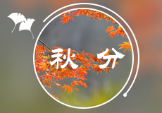 今日秋分