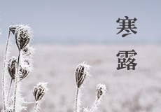 寒露｜露水始寒，秋风渐凉