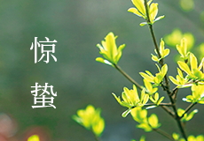 mk体育｜惊蛰到，万物生