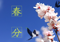 今日春分，春意从此浓