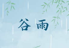 谷雨｜雨生百谷，润物无声