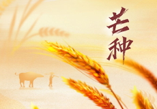 今日芒种