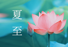 今日夏至，愿所有美好如约而至