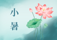 今日小暑