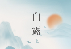 白露｜露从今夜白，草上露水凝