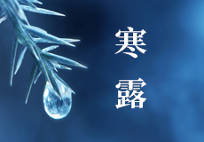 今日寒露