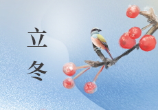 立冬｜霜染万物，冬之伊始