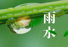 雨水 | 好雨知时节，当春乃发生