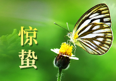 今日，惊蛰