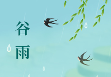 今日谷雨