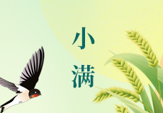小满｜最好人生是小满 花未全开月未圆