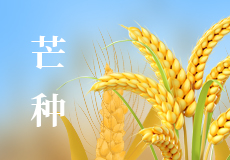 今日芒种｜愿你“芒”有所获，“种”有所得
