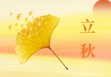 今日立秋