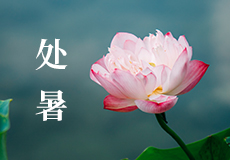 今日处暑