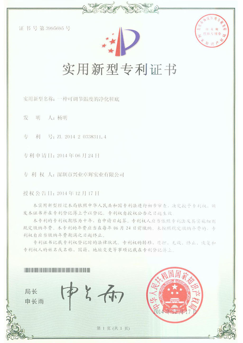 一种可调节温度的净化鞋底实用新型专利