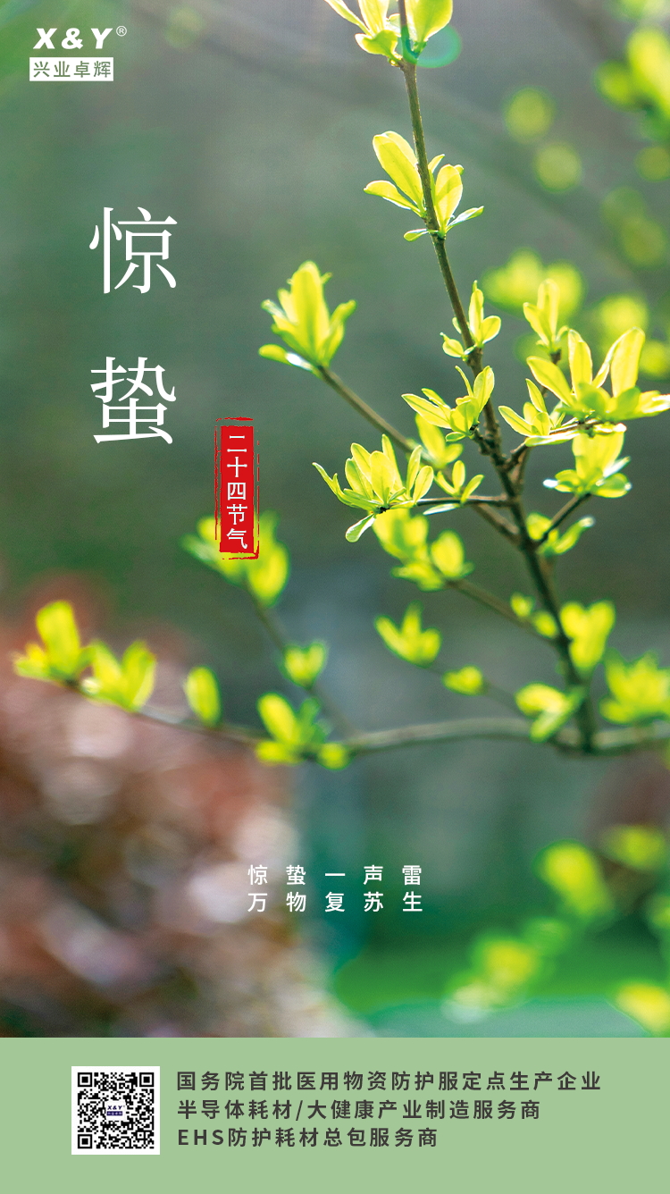 惊蛰23_看图王(1).jpg