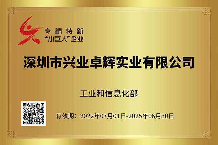 国家专精特新小巨人.jpg