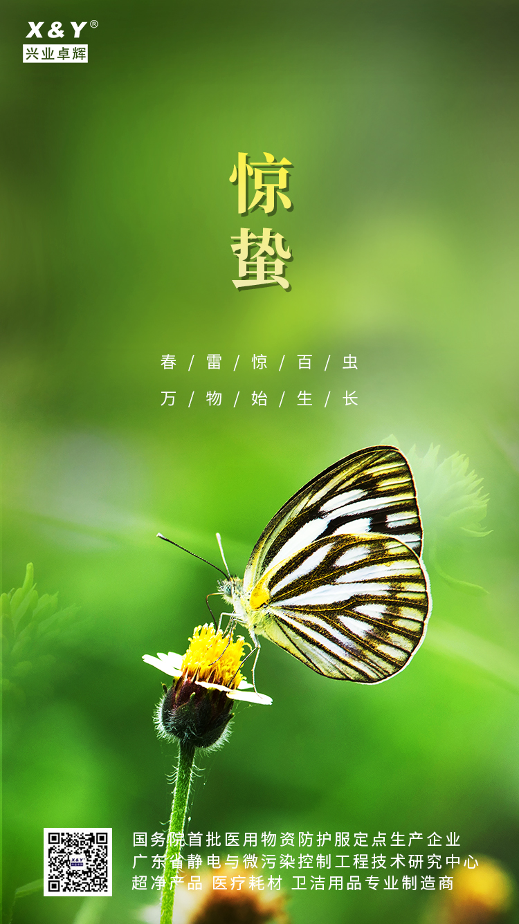 2024惊蛰(1).jpg