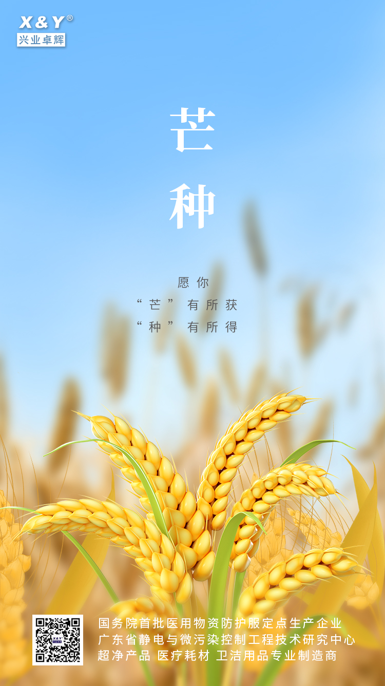 2024芒种(3).jpg